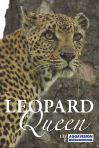 Королева леопардов